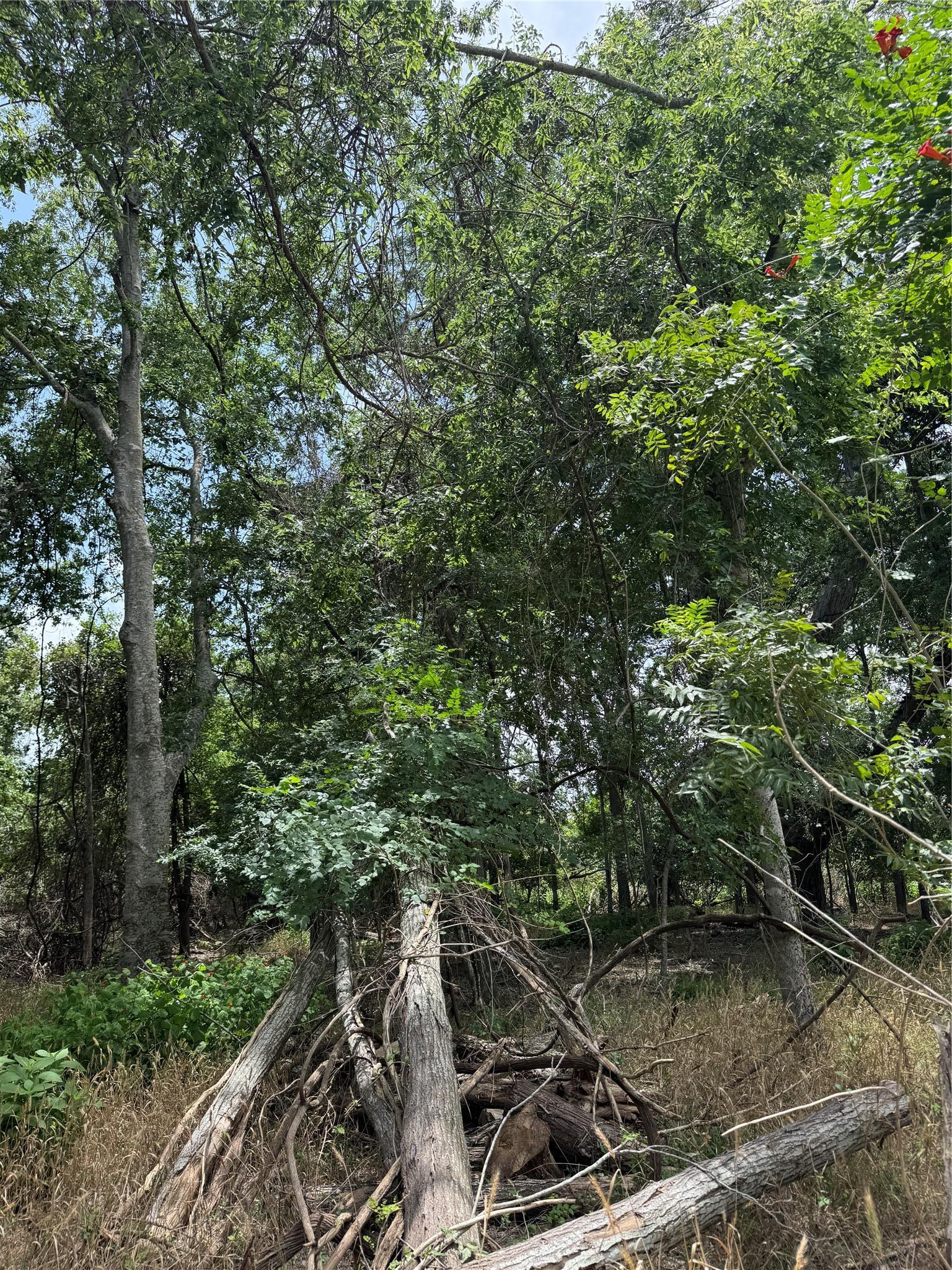 Lot 904 Kahana Lane Bastrop TX 78602