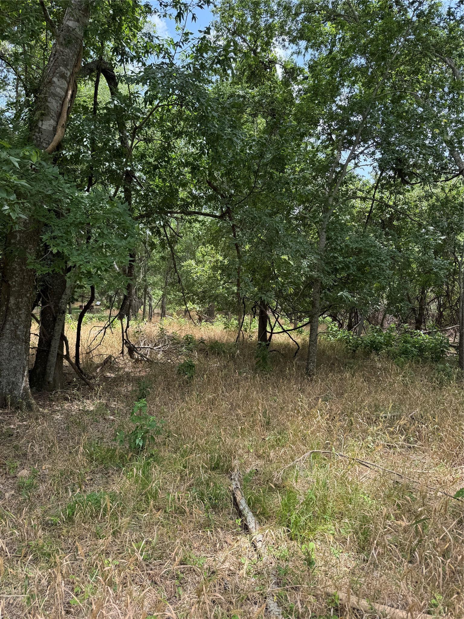 Lot 904 Kahana Lane Bastrop TX 78602