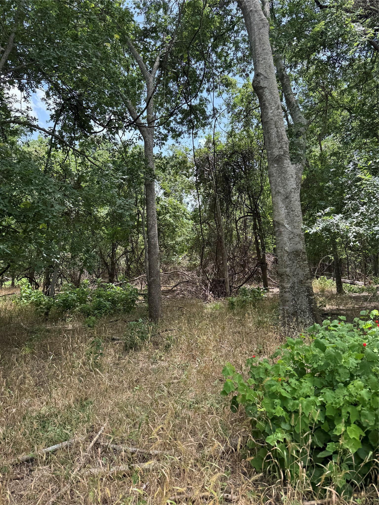 Lot 904 Kahana Lane Bastrop TX 78602