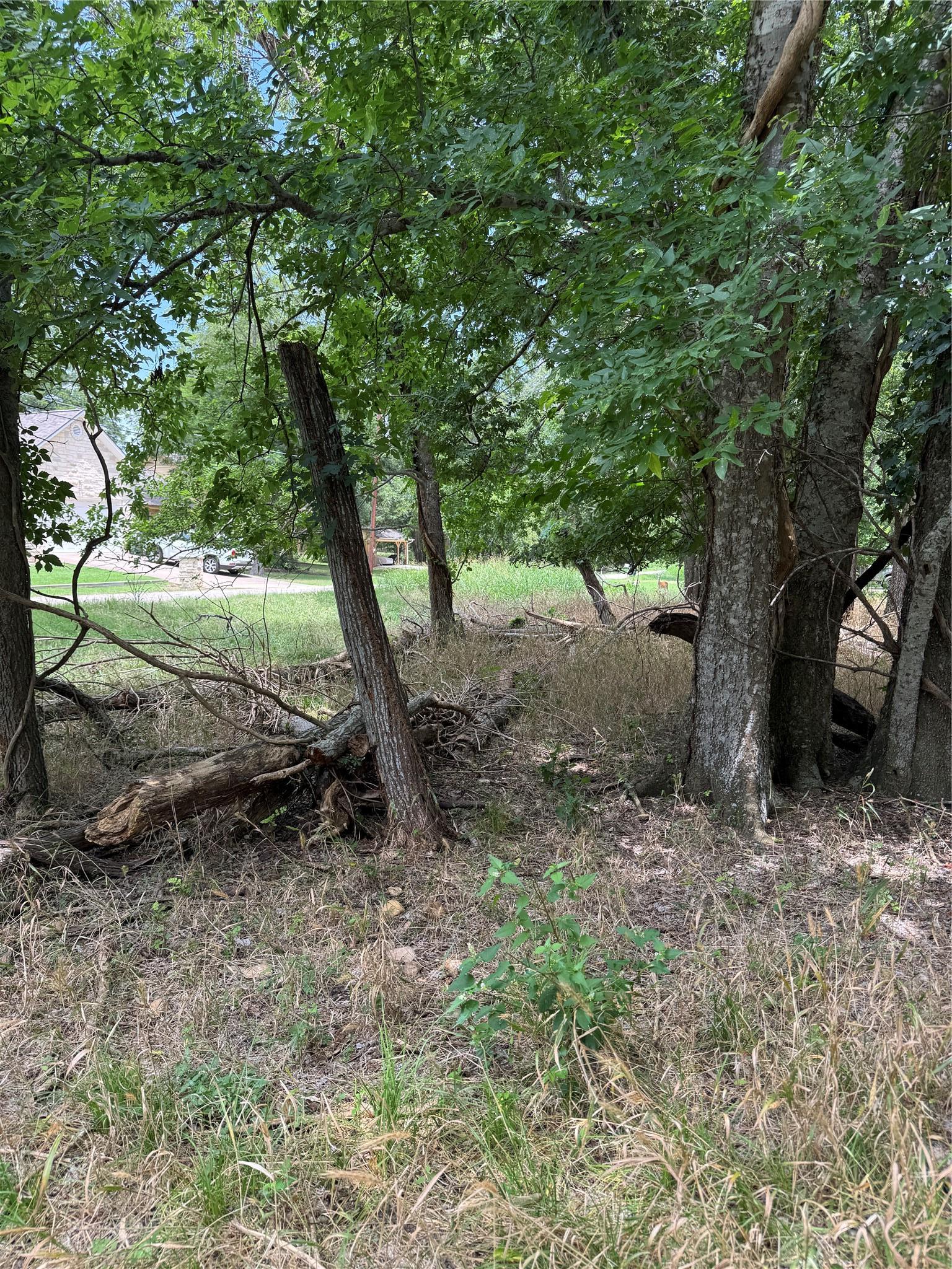 Lot 904 Kahana Lane Bastrop TX 78602