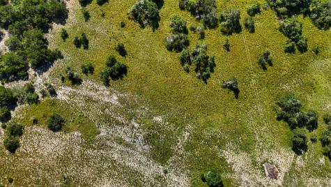 1215 Montell Road Wimberley TX 78676