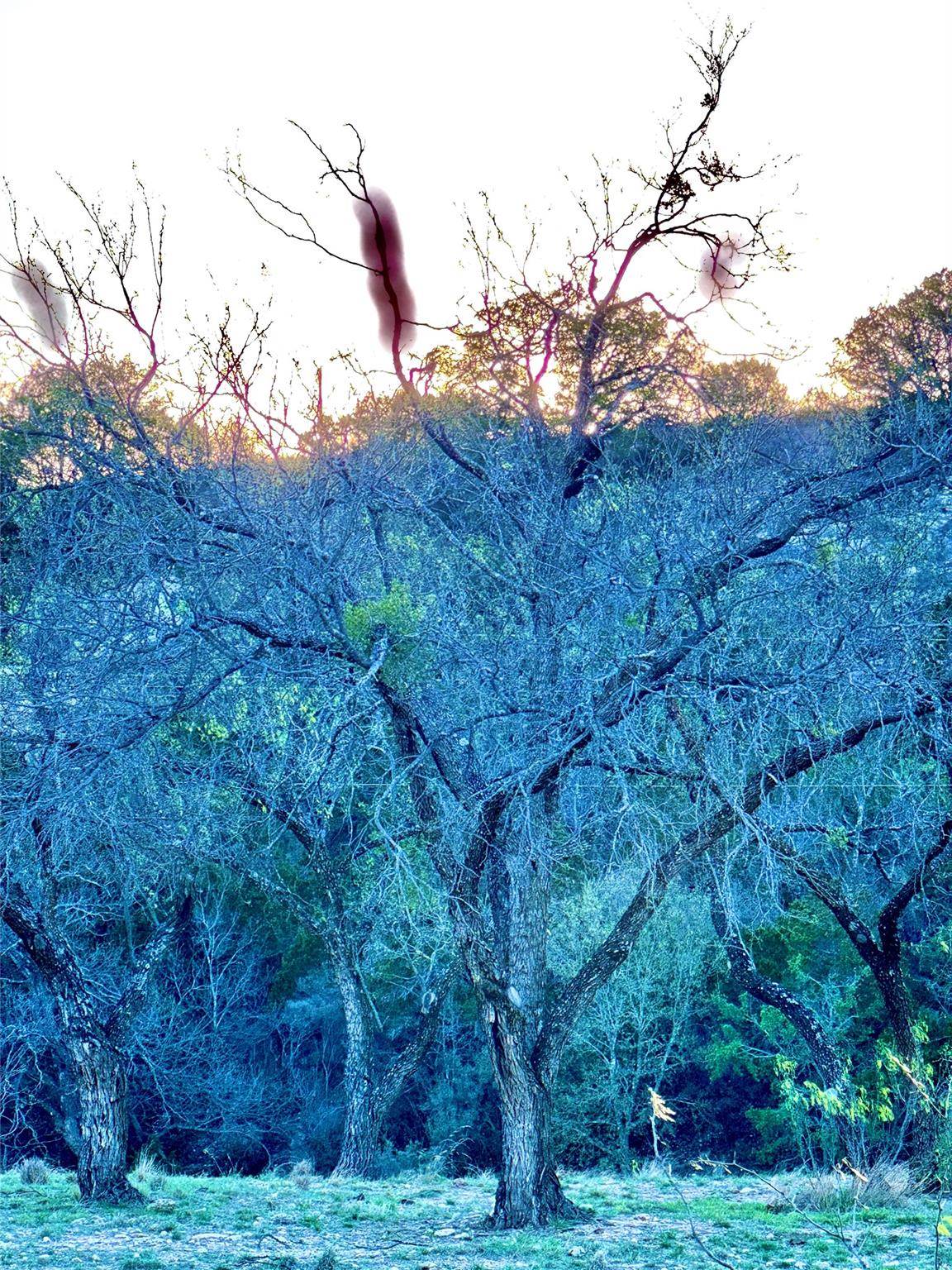 Tbd Seven Springs Drive Junction TX 76849