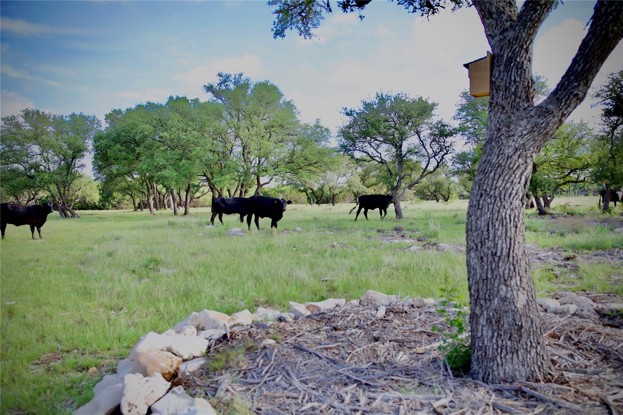 Lot 33 Starfall Drive Lampasas TX 76550