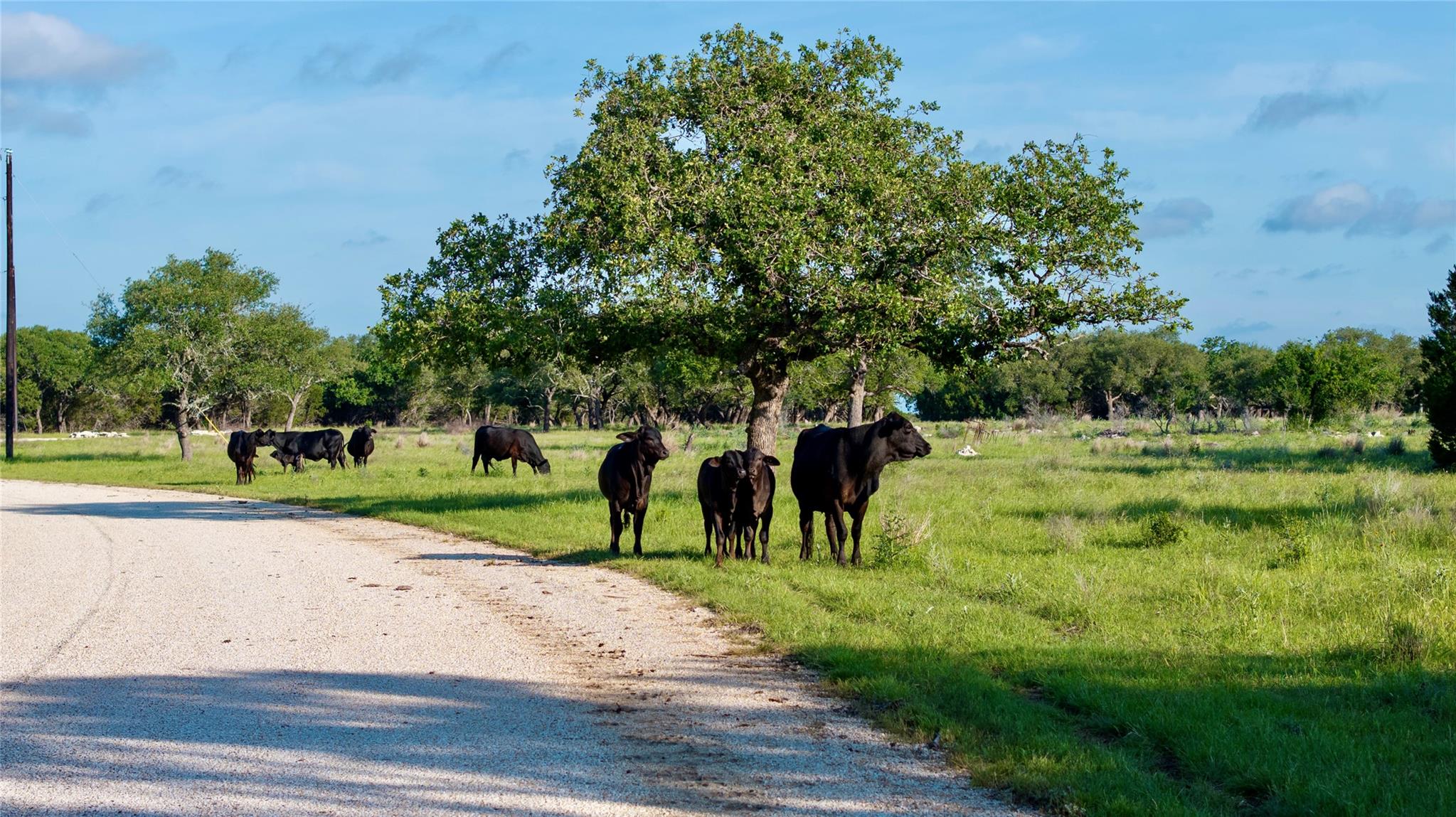 Lot 33 Starfall Drive Lampasas TX 76550