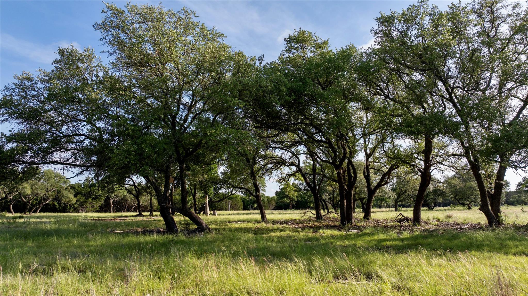 Lot 33 Starfall Drive Lampasas TX 76550