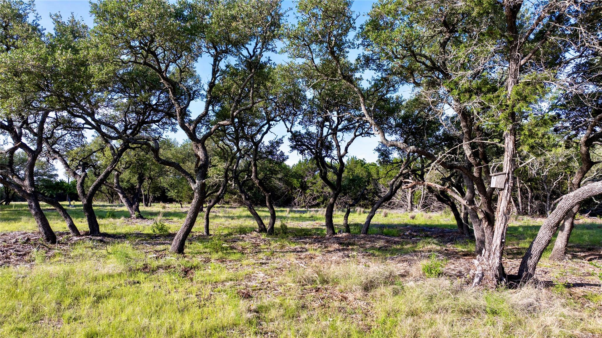 Lot 33 Starfall Drive Lampasas TX 76550