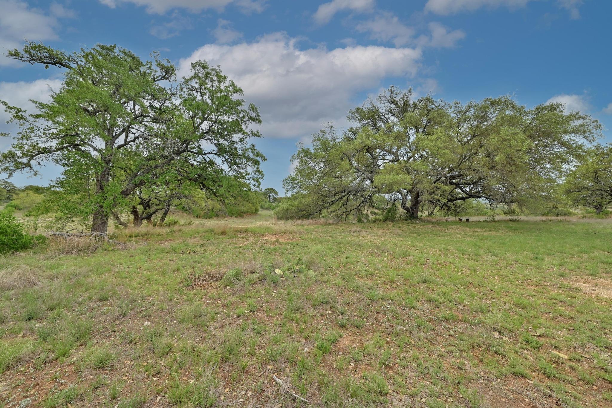 195 Cypress View Drive Johnson City TX 78636