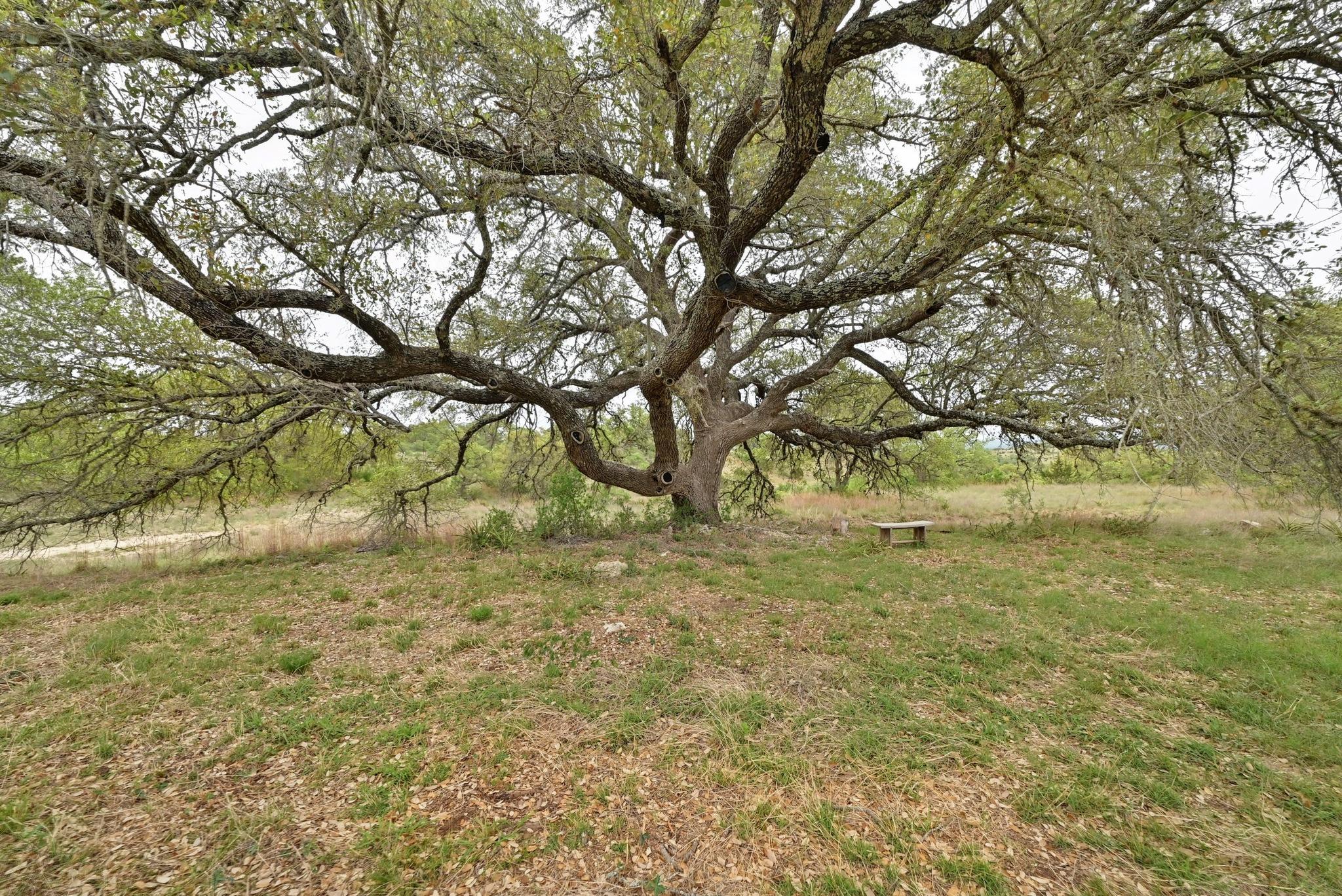 195 Cypress View Drive Johnson City TX 78636