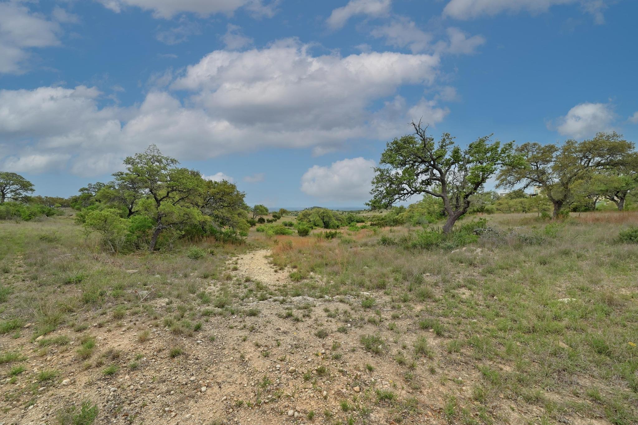 195 Cypress View Drive Johnson City TX 78636