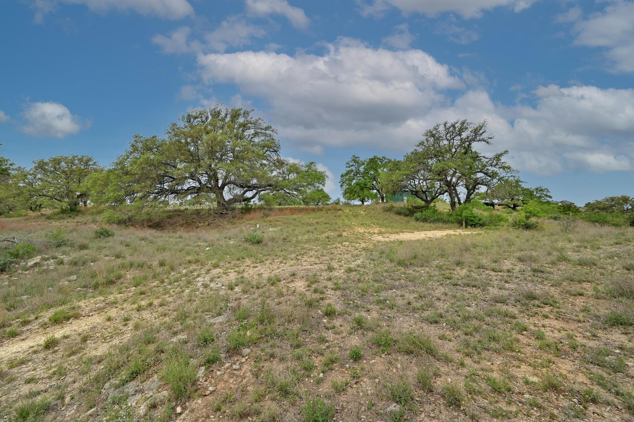195 Cypress View Drive Johnson City TX 78636