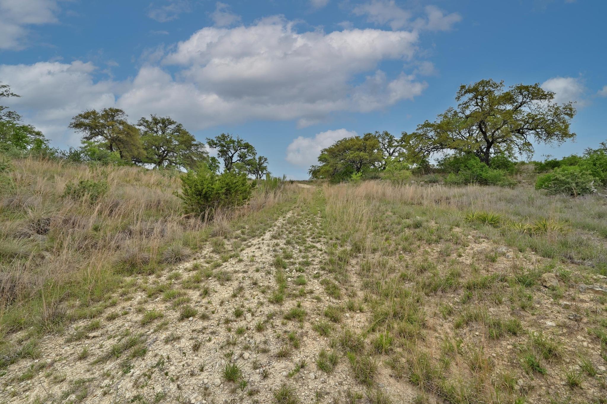 195 Cypress View Drive Johnson City TX 78636