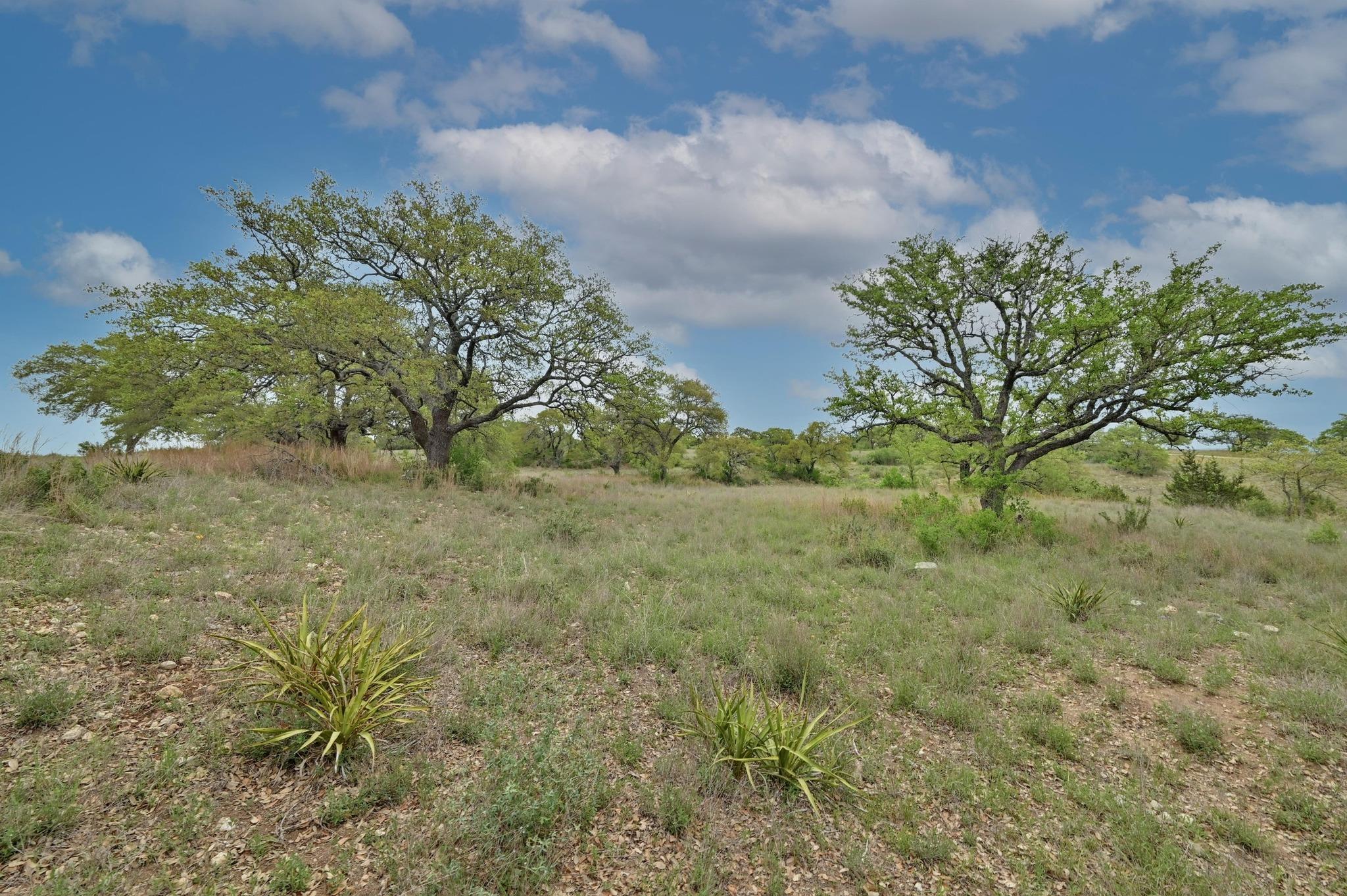 195 Cypress View Drive Johnson City TX 78636