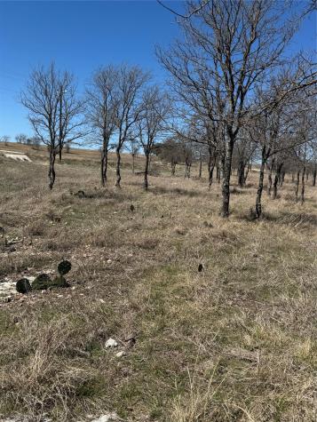 Shooting Star Lot 28 Lometa TX 76853