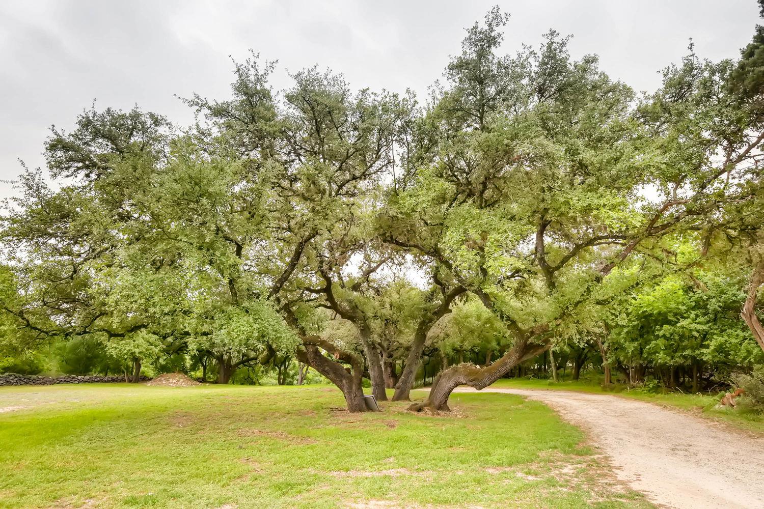 1390 Ervendberg New Braunfels TX 78130