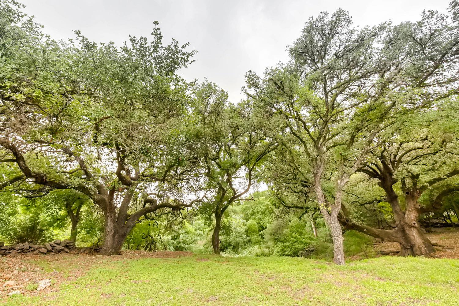 1390 Ervendberg New Braunfels TX 78130