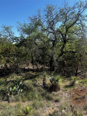 0 Castlebriar Street Granite Shoals TX 78654
