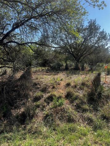 0 Castlebriar Street Granite Shoals TX 78654