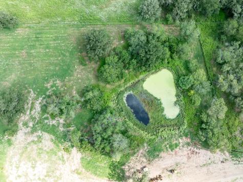 Lot 1-e County Road 491 Gonzales TX 78629