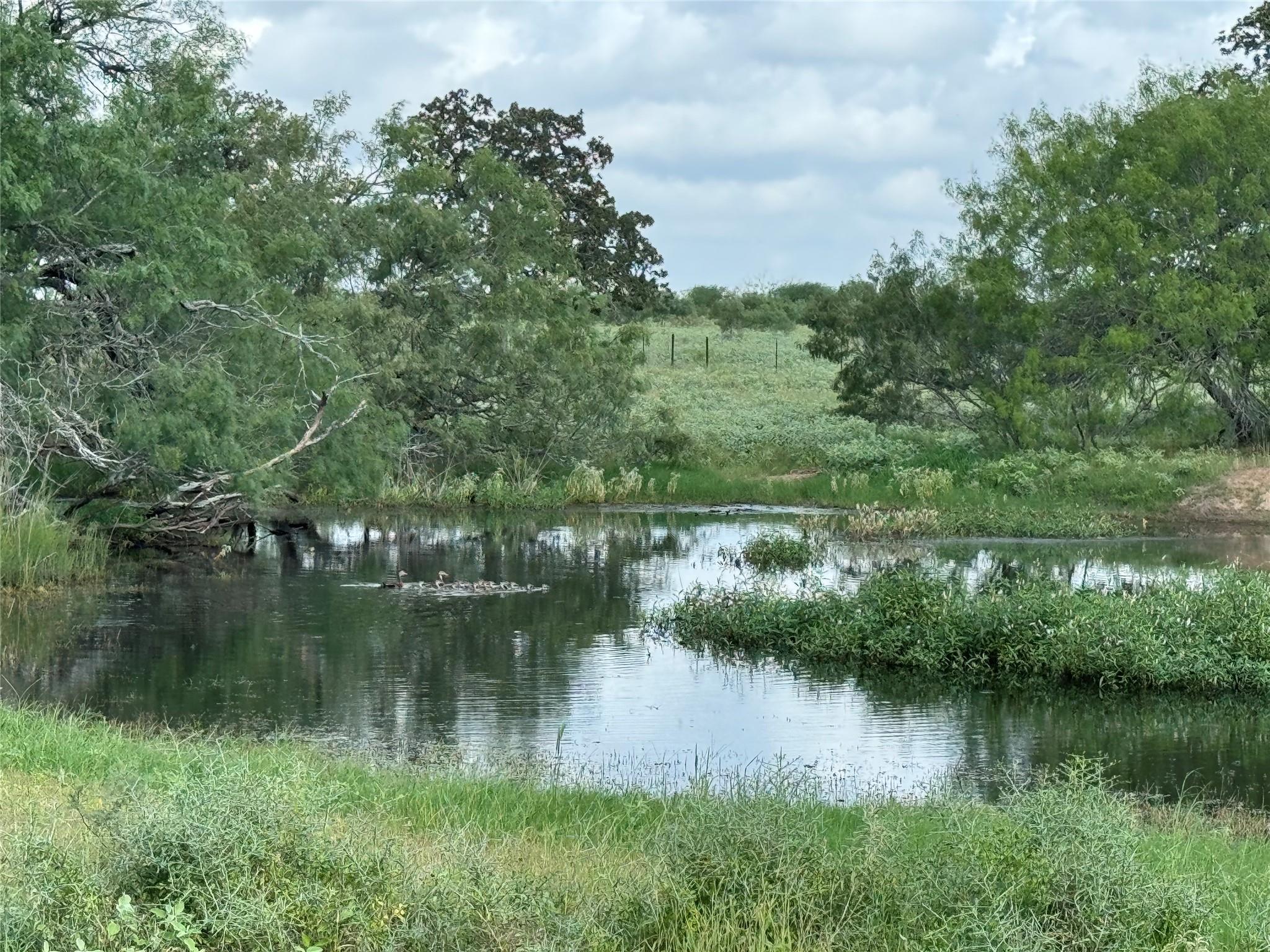 Lot 1-e County Road 491 Gonzales TX 78629