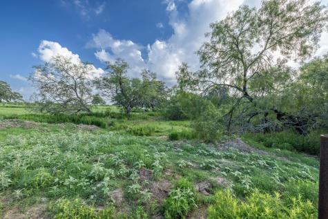 Lot 1-e County Road 491 Gonzales TX 78629