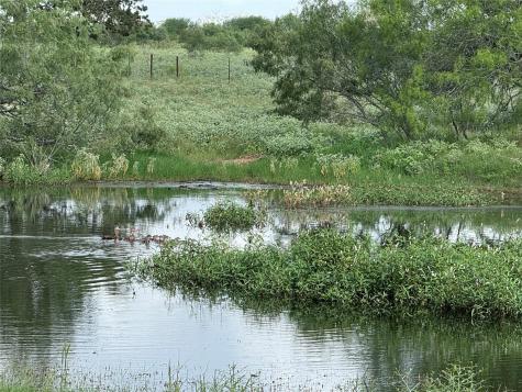 Lot 1-e County Road 491 Gonzales TX 78629