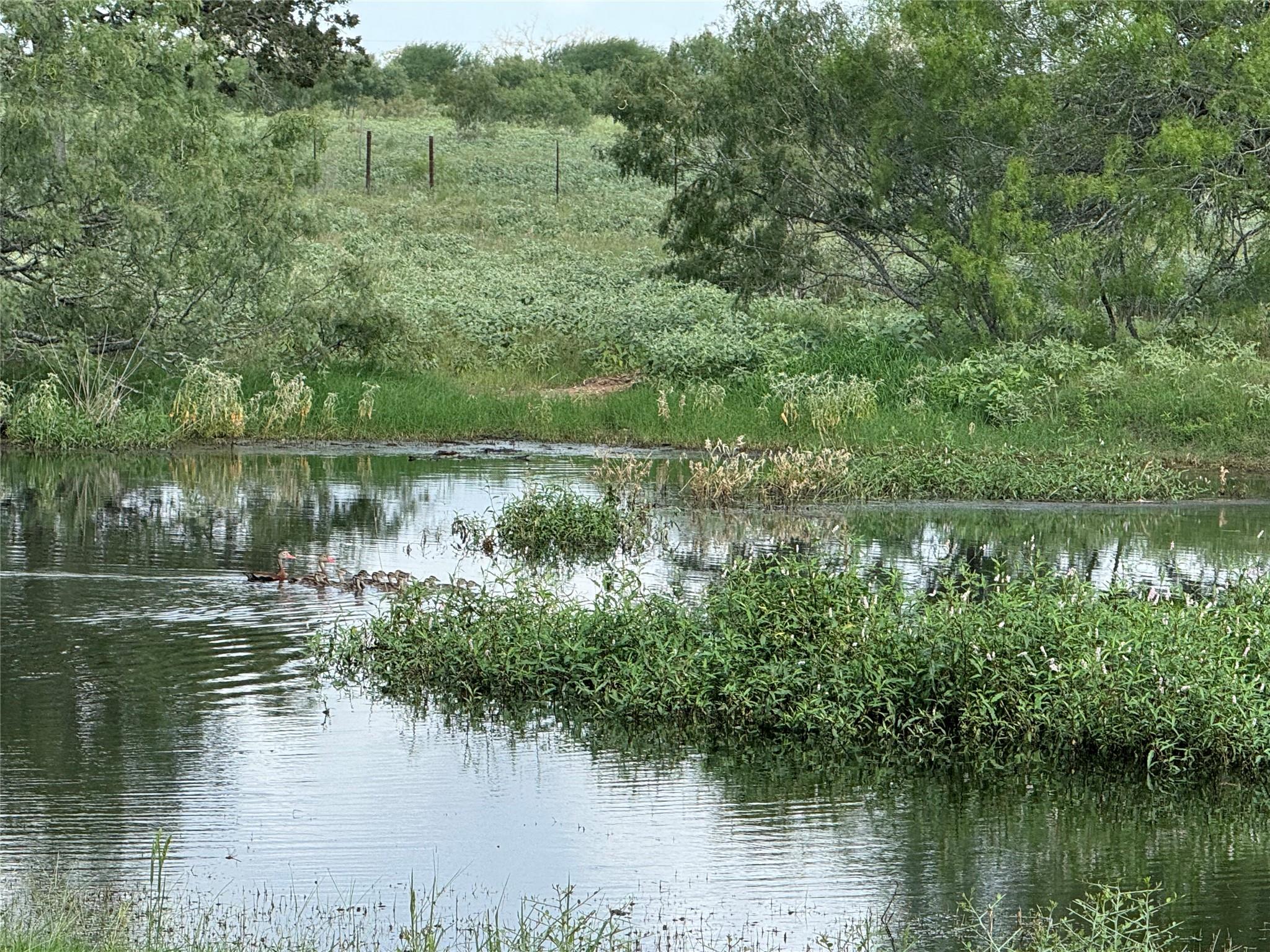 Lot 1-e County Road 491 Gonzales TX 78629