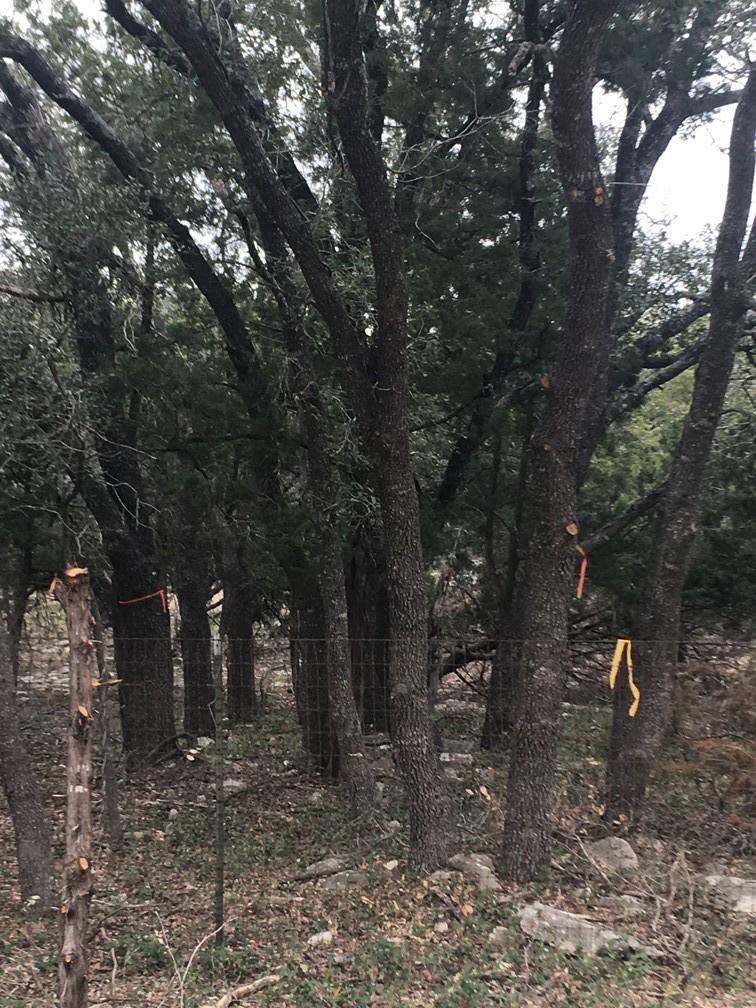 101 Timber Line Road Georgetown TX 78633
