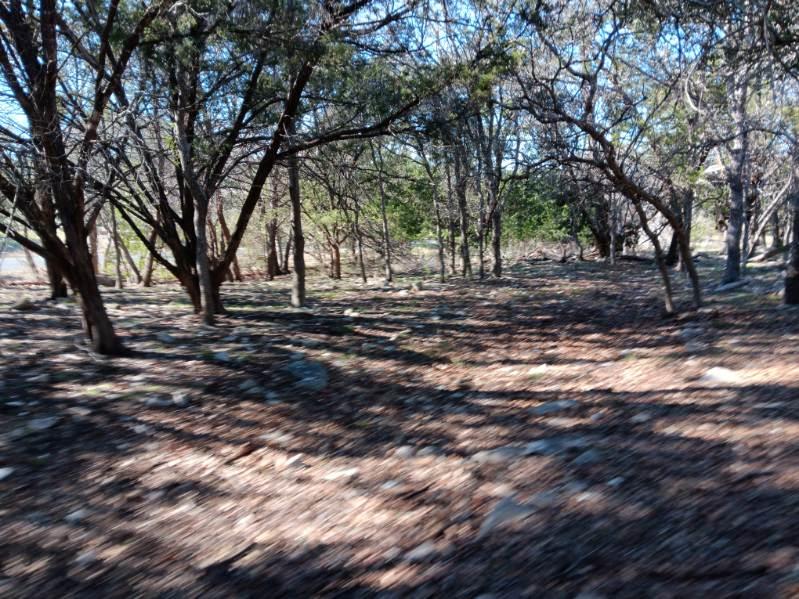 101 Timber Line Road Georgetown TX 78633