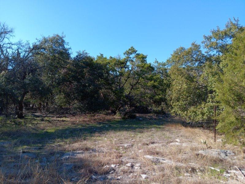 101 Timber Line Road Georgetown TX 78633