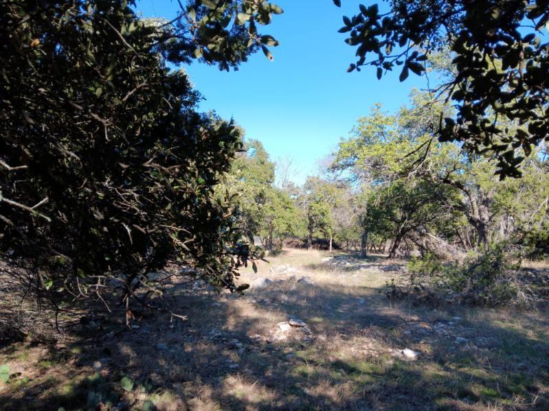 101 Timber Line Road Georgetown TX 78633