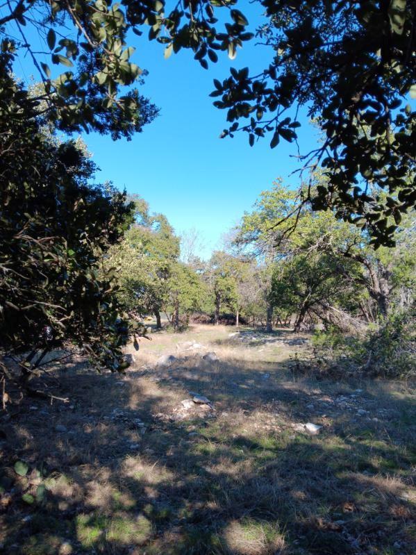 101 Timber Line Road Georgetown TX 78633