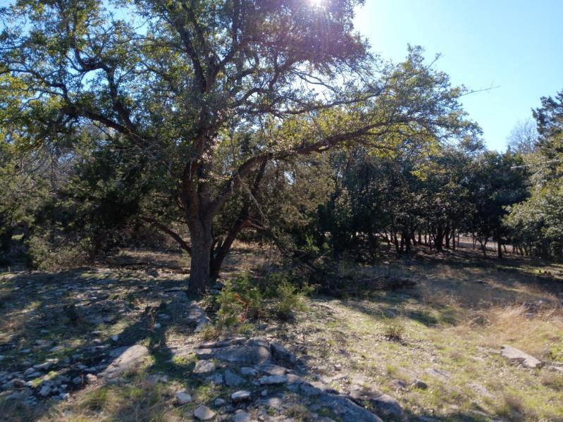 101 Timber Line Road Georgetown TX 78633