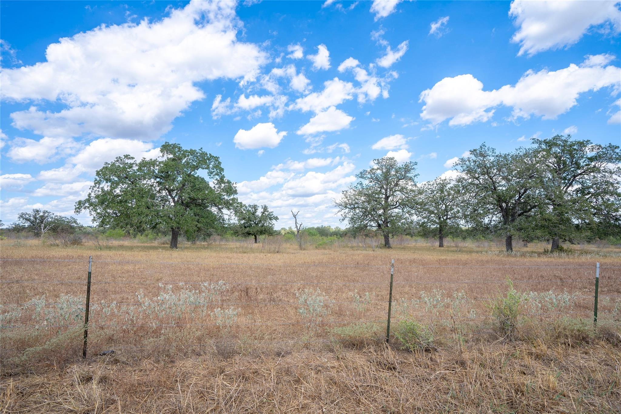 Tbd Nash Creek Road Kingsbury TX 78638