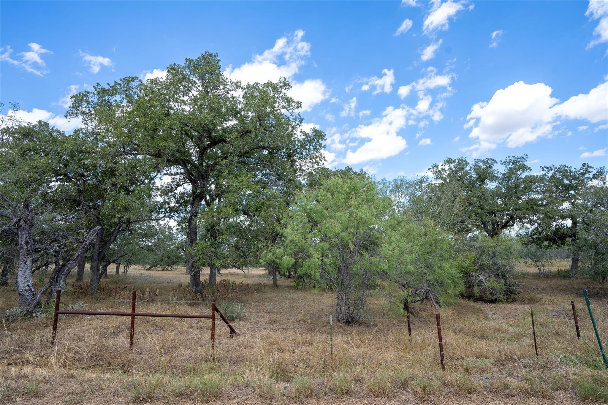 Tbd Nash Creek Road Kingsbury TX 78638