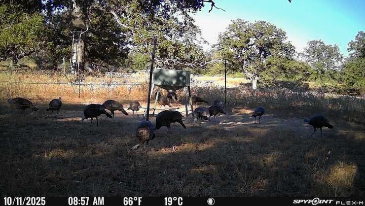 Tbd Nash Creek Road Kingsbury TX 78638