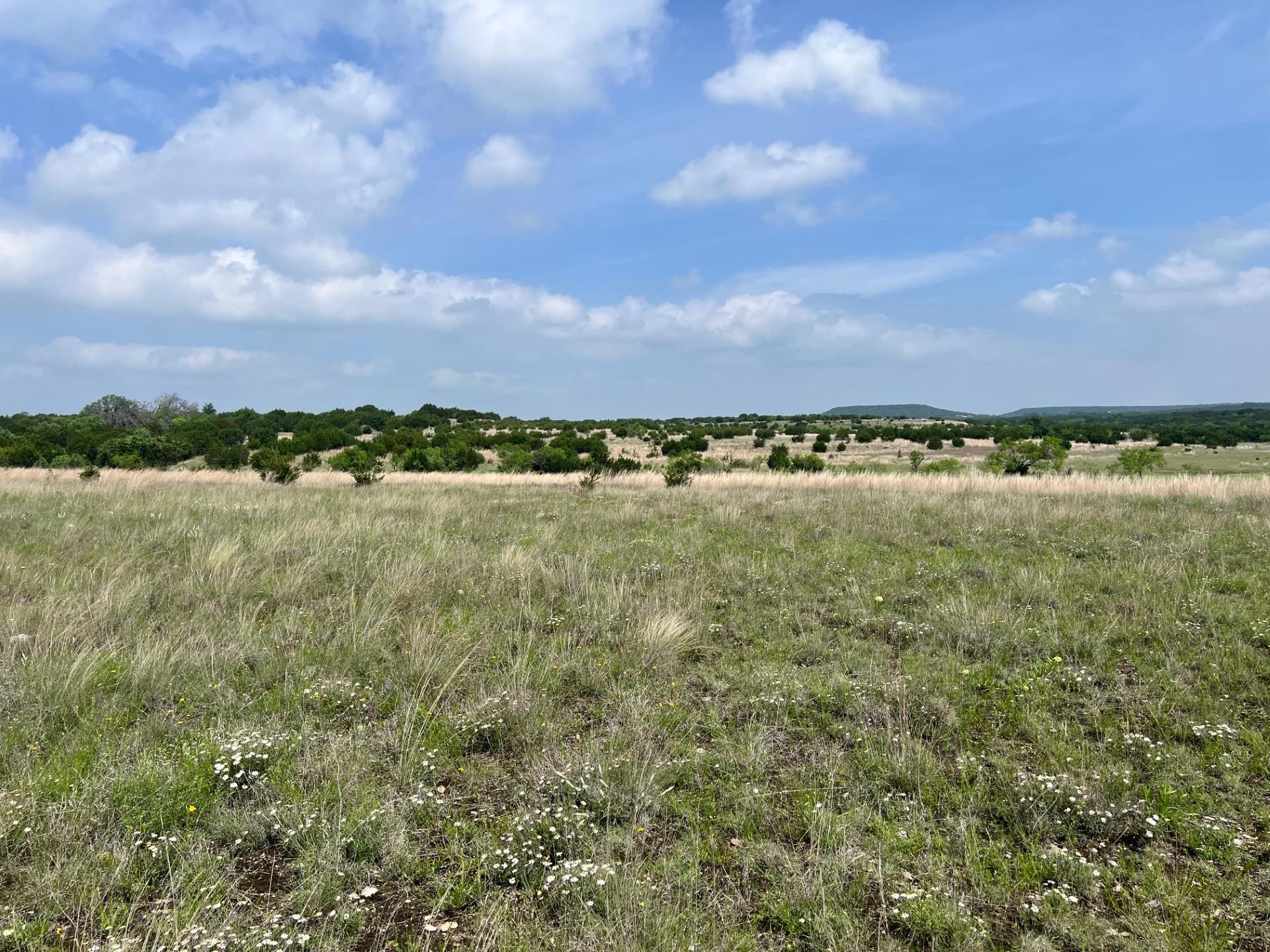Tract 1 & 11, 4847 County Road 3300 Kempner TX 76539