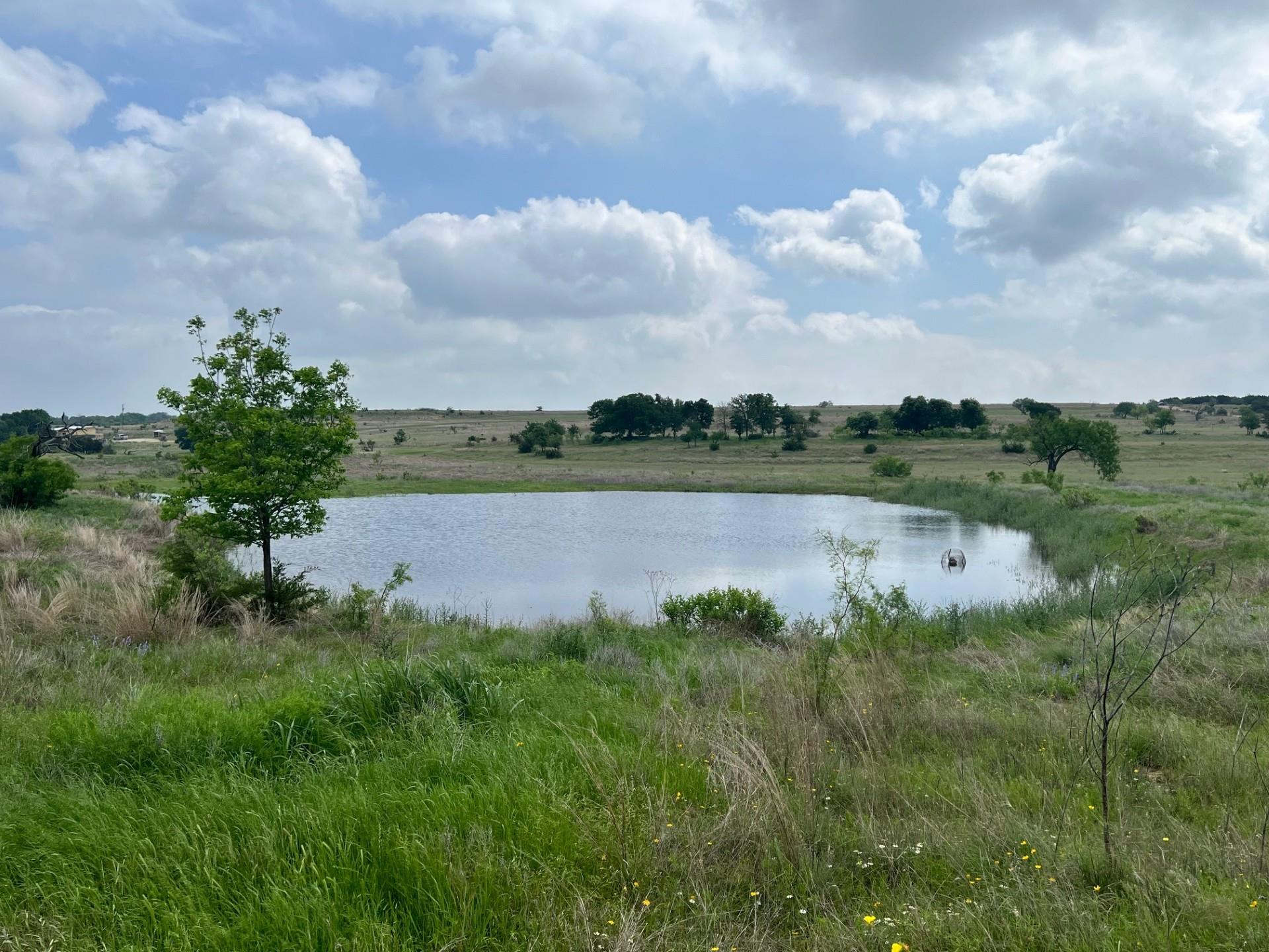 Tract 1 & 11, 4847 County Road 3300 Kempner TX 76539