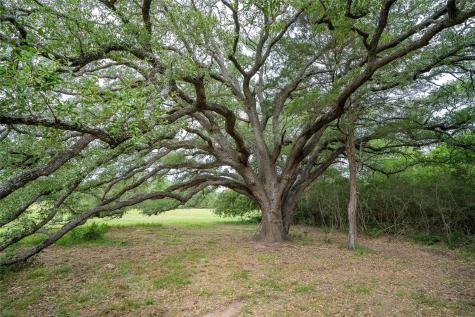 0 Fm 713 Highway Rosanky TX 78953