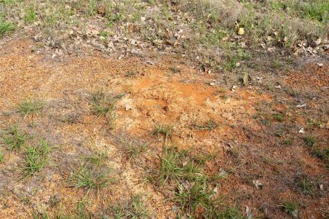 Tbd Fm 713 Highway Rosanky TX 78953