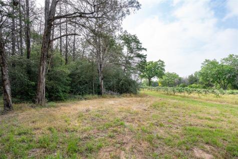 Tbd Fm 713 Highway Rosanky TX 78953