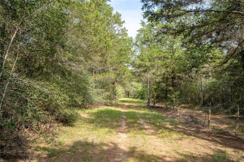 Tbd Fm 713 Highway Rosanky TX 78953