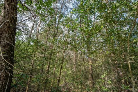 Tbd Fm 713 Highway Rosanky TX 78953