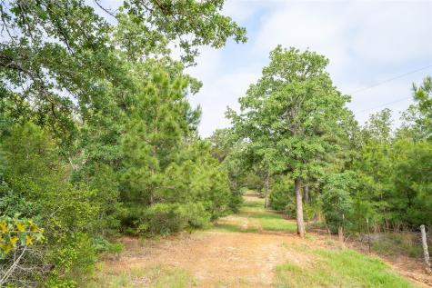 Tbd Fm 713 Highway Rosanky TX 78953