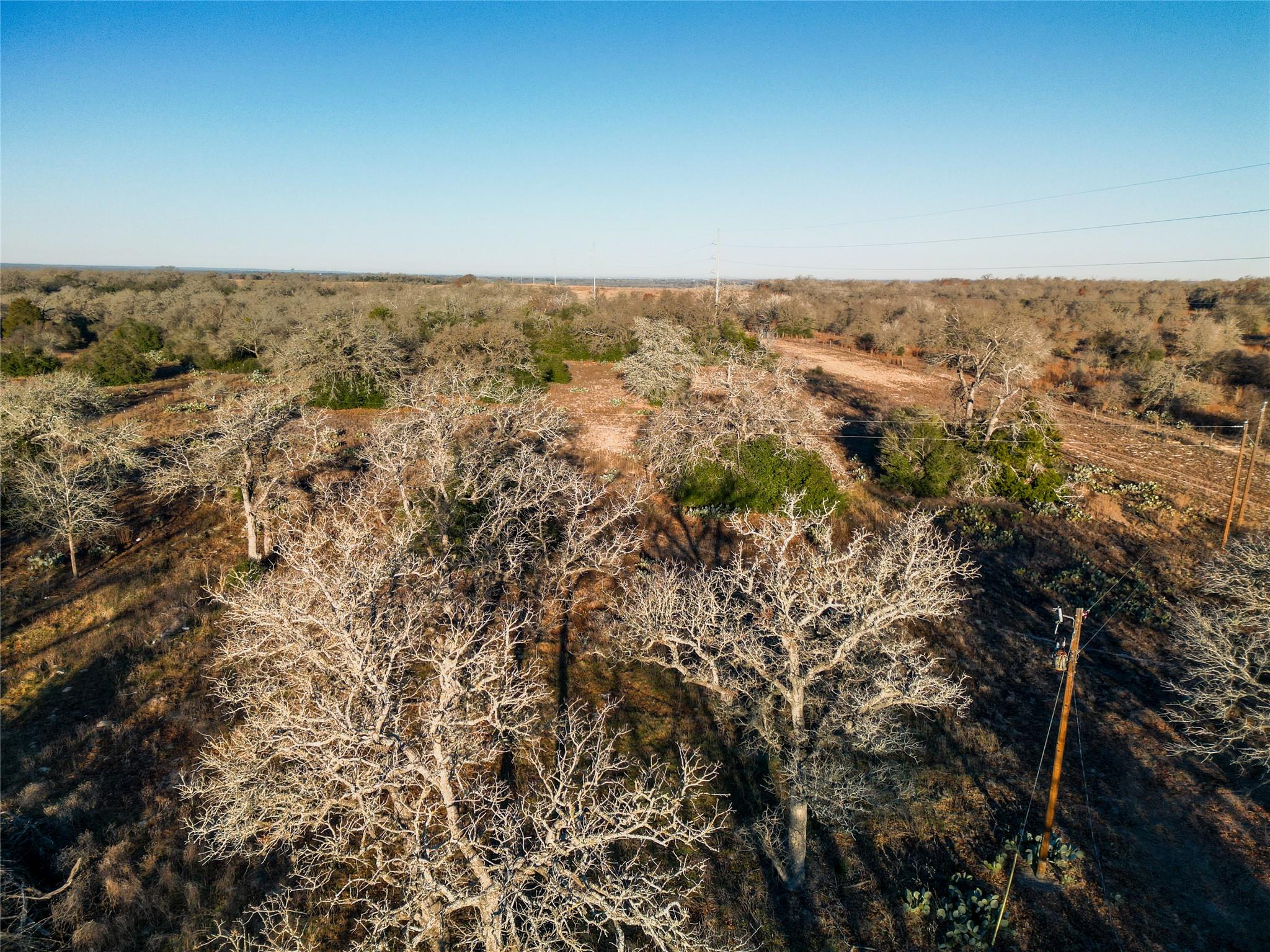 000 Sandy Pine Road Luling TX 78648