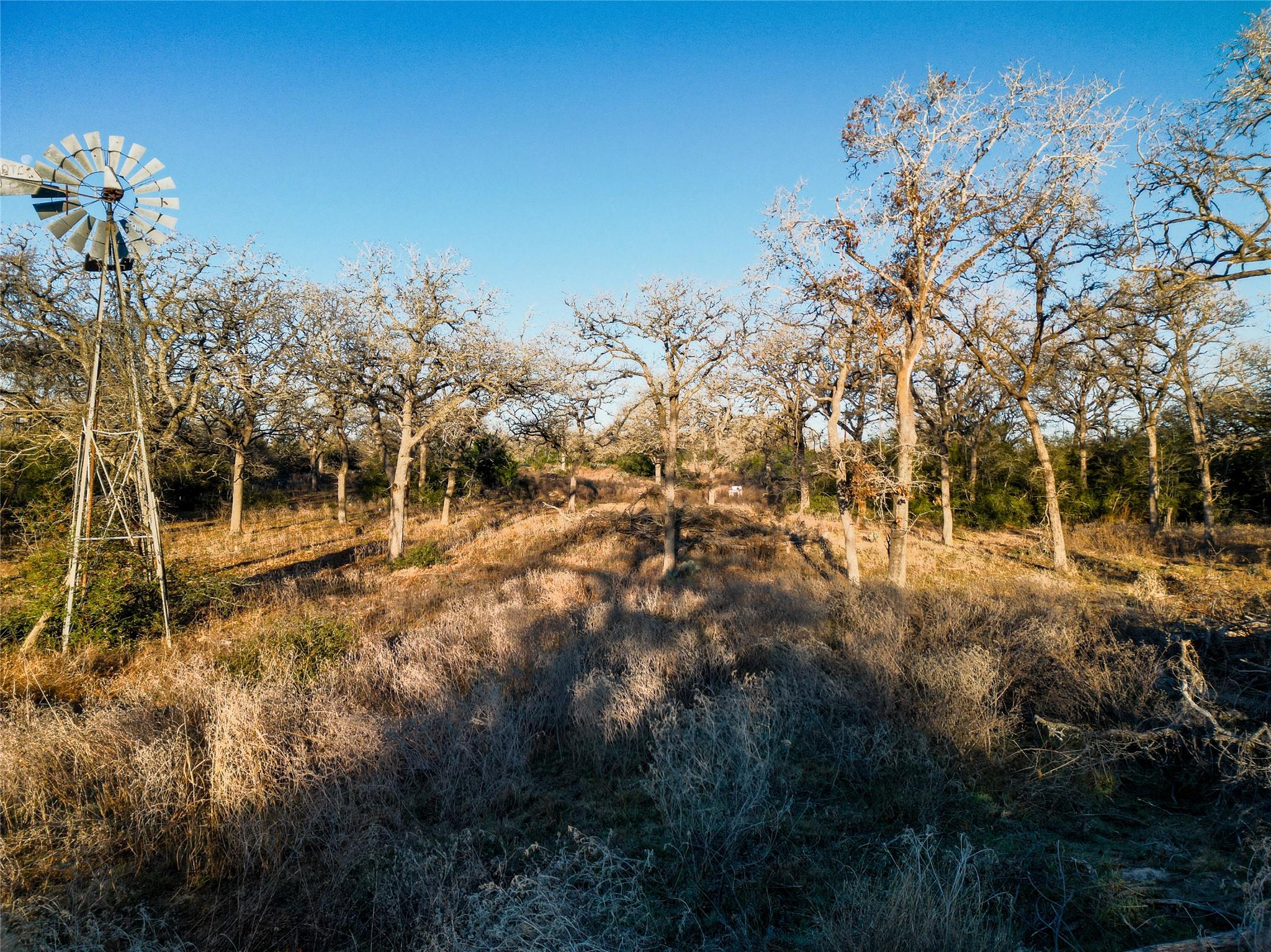 000 Sandy Pine Road Luling TX 78648