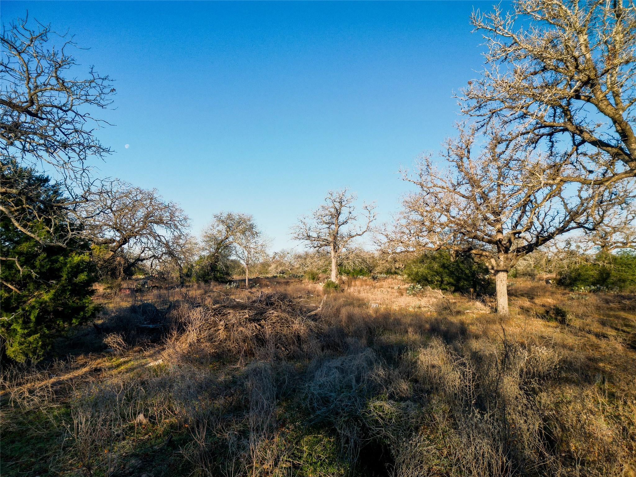 000 Sandy Pine Road Luling TX 78648