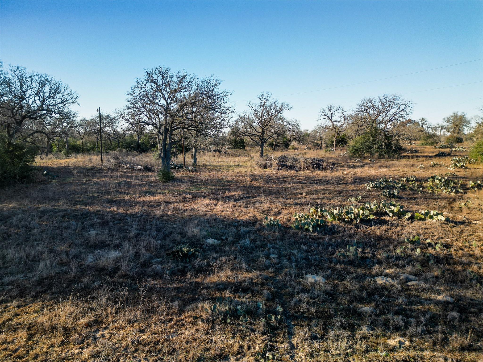 000 Sandy Pine Road Luling TX 78648