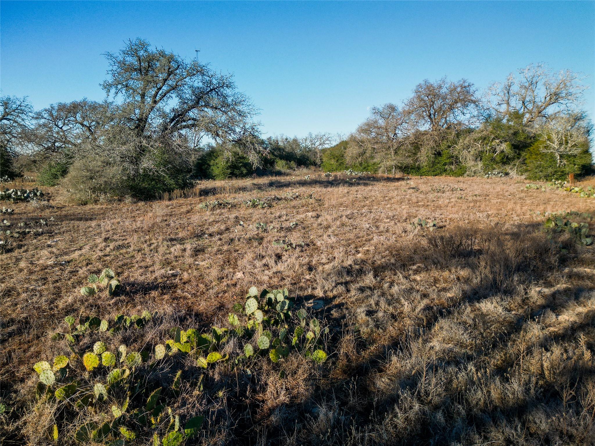 000 Sandy Pine Road Luling TX 78648
