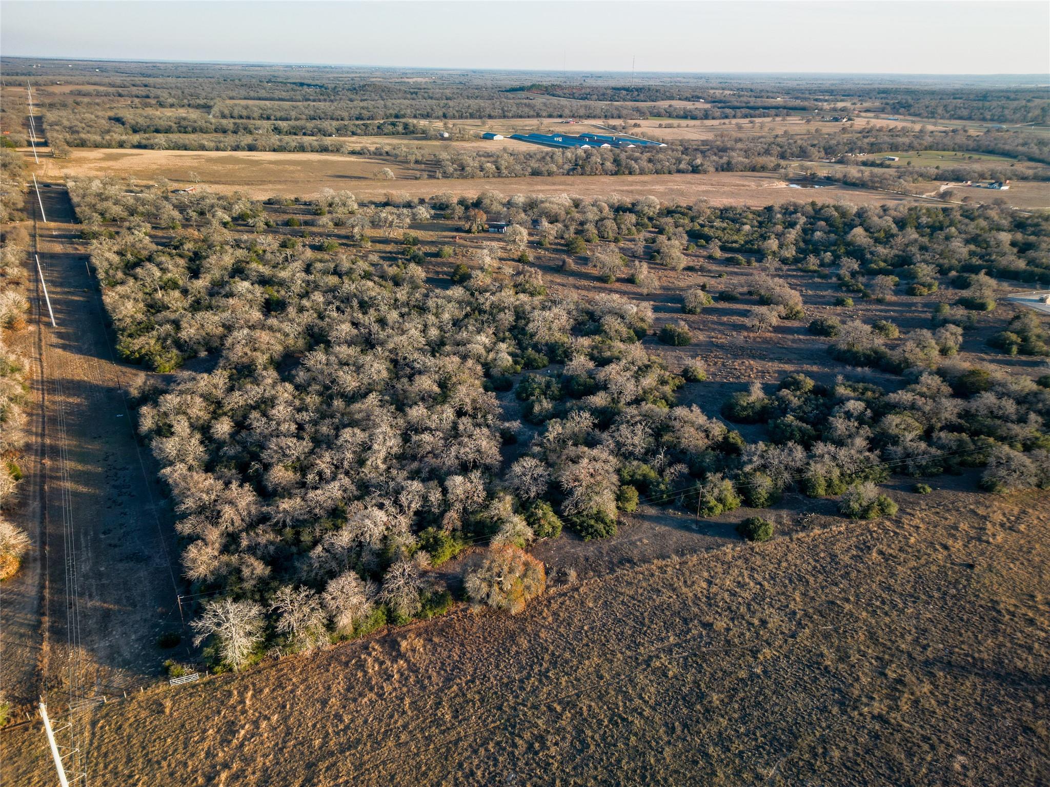 000 Sandy Pine Road Luling TX 78648