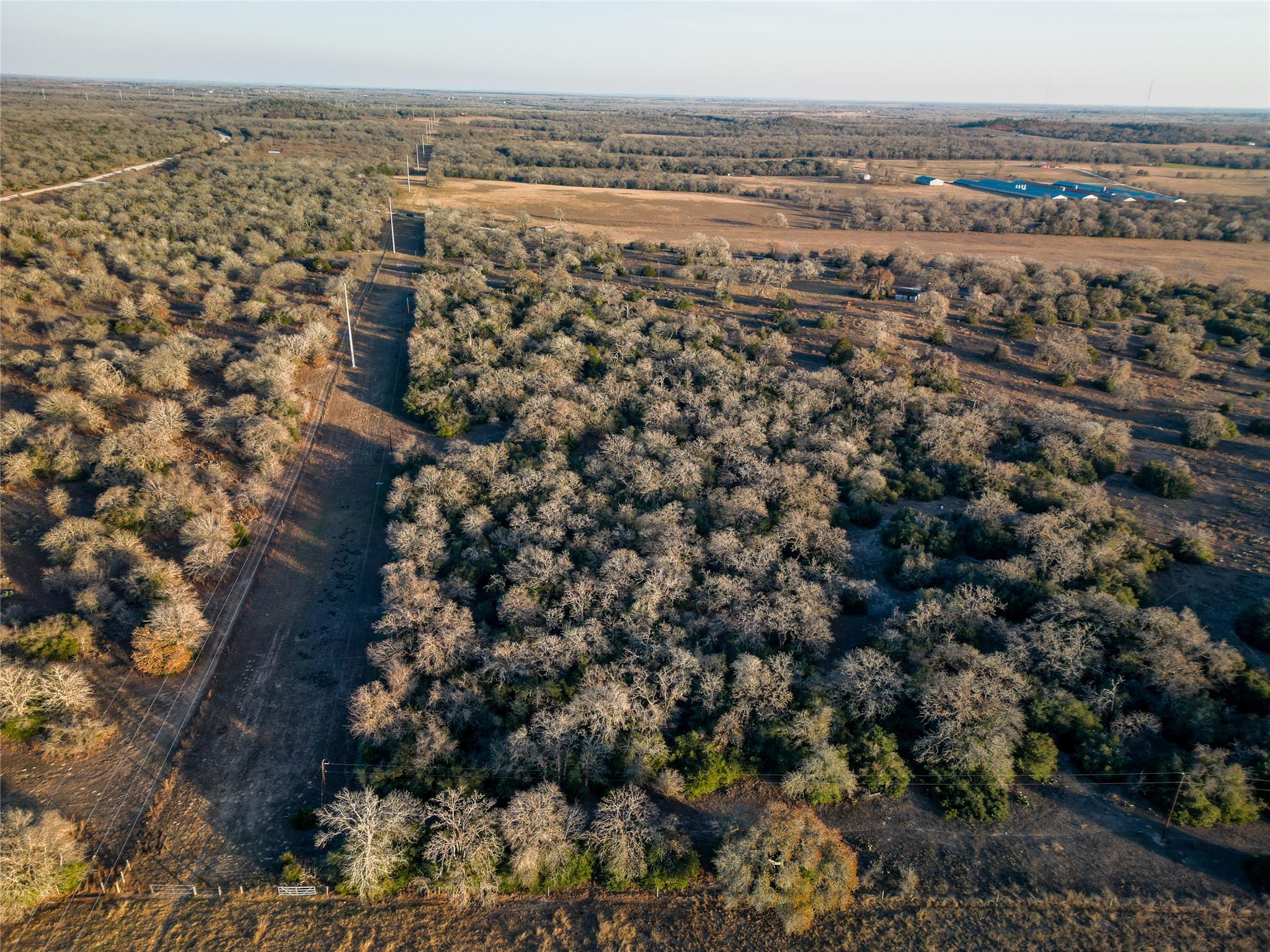 000 Sandy Pine Road Luling TX 78648